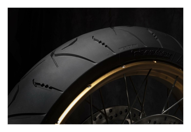Летние шины Dunlop Trailmax Meridian